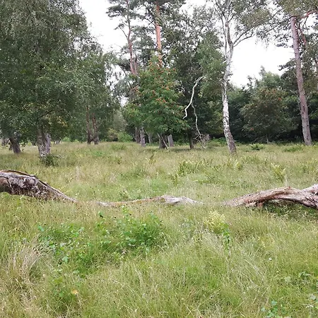 4 Star In Vaeggerlose Bøtø By