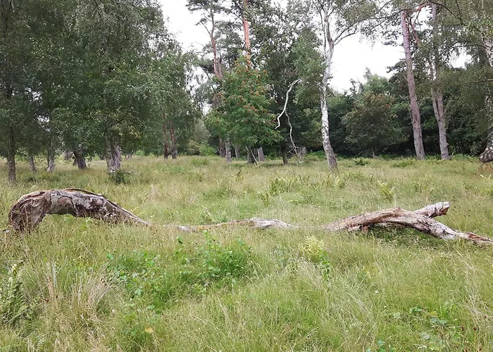 4 Star In Vaeggerlose Bøtø By
